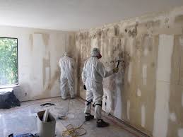 Best Asbestos and Lead Testing During Mold Inspection  in Kentfield, CA